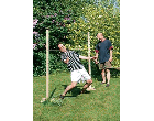 Limbo